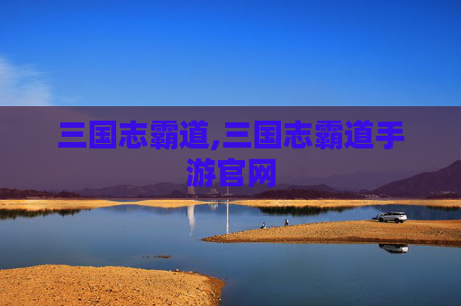 三国志霸道,三国志霸道手游官网