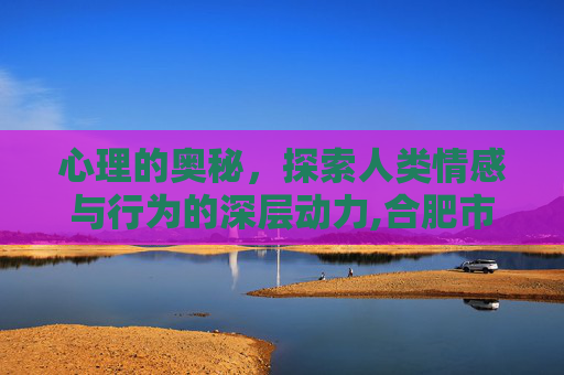 心理的奥秘，探索人类情感与行为的深层动力,合肥市徽州小学开展心理课