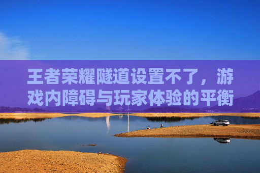 王者荣耀隧道设置不了，游戏内障碍与玩家体验的平衡,南京小学教师