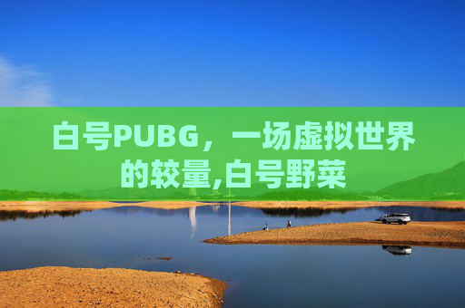 白号PUBG，一场虚拟世界的较量,白号野菜
