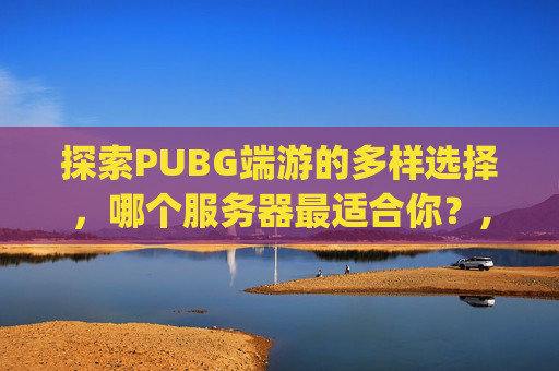 探索PUBG端游的多样选择，哪个服务器最适合你？,pubg哪个服人多