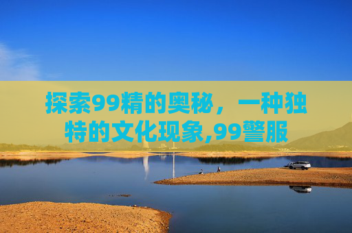 探索99精的奥秘，一种独特的文化现象,99警服