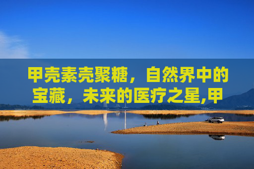 甲壳素壳聚糖，自然界中的宝藏，未来的医疗之星,甲壳素壳聚糖的功效