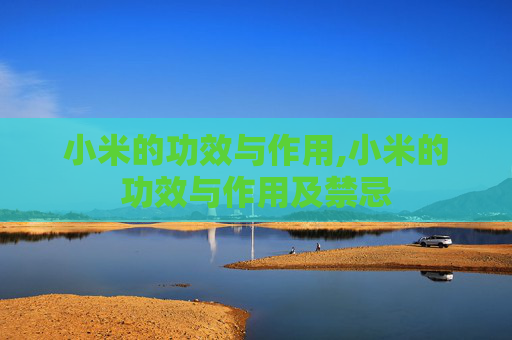 小米的功效与作用,小米的功效与作用及禁忌