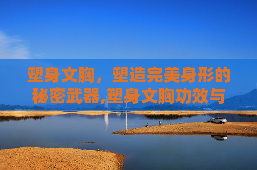 塑身文胸，塑造完美身形的秘密武器,塑身文胸功效与作用