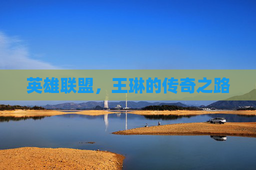 英雄联盟，王琳的传奇之路