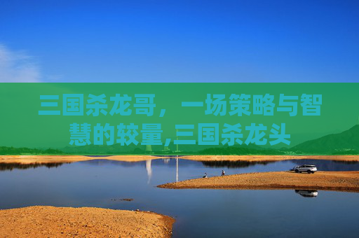 三国杀龙哥,一场策略与智慧的较量,三国杀龙头 三国杀龙哥,一场策略与智慧的较量,三国杀龙头