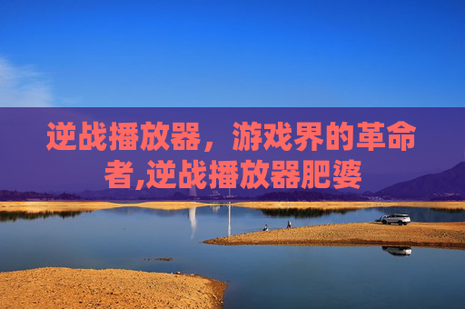 逆战播放器，游戏界的革命者,逆战播放器肥婆