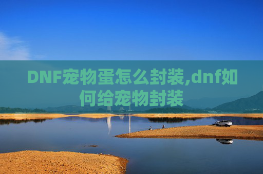DNF宠物蛋怎么封装,dnf如何给宠物封装