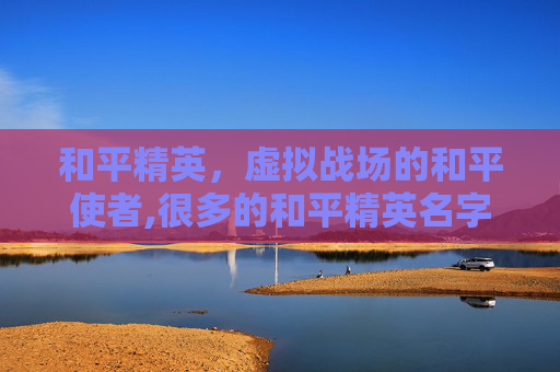 和平精英，虚拟战场的和平使者,很多的和平精英名字