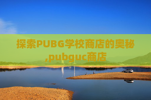 探索PUBG学校商店的奥秘,pubguc商店