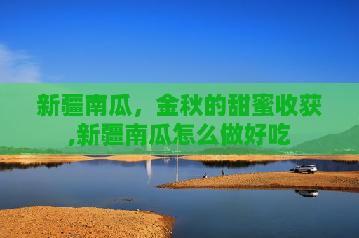 新疆南瓜，金秋的甜蜜收获,新疆南瓜怎么做好吃