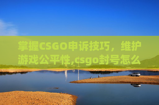 掌握CSGO申诉技巧，维护游戏公平性,csgo封号怎么申诉