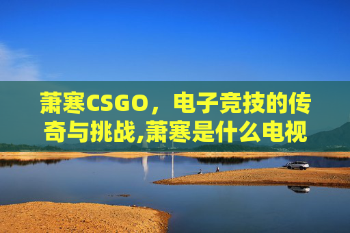 萧寒CSGO，电子竞技的传奇与挑战,萧寒是什么电视剧