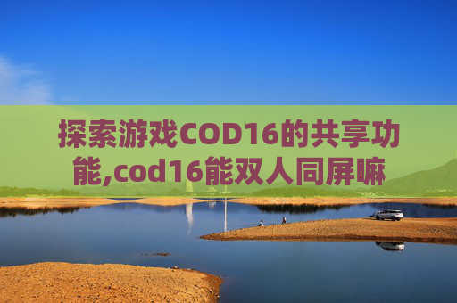 探索游戏COD16的共享功能,cod16能双人同屏嘛