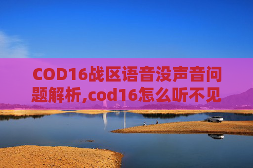 COD16战区语音没声音问题解析,cod16怎么听不见语音