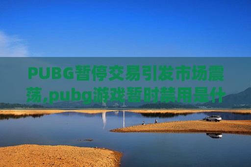PUBG暂停交易引发市场震荡,pubg游戏暂时禁用是什么意思
