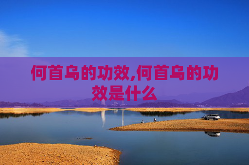 何首乌的功效,何首乌的功效是什么