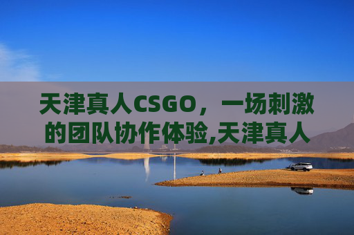 天津真人CSGO，一场刺激的团队协作体验,天津真人cs哪里好玩