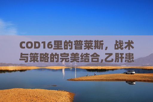 COD16里的普莱斯，战术与策略的完美结合,乙肝患者可以吃茄子吗
