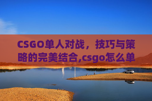 CSGO单人对战，技巧与策略的完美结合,csgo怎么单人打人机