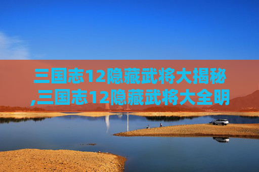 三国志12隐藏武将大揭秘,三国志12隐藏武将大全明细表