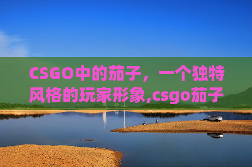 CSGO中的茄子，一个独特风格的玩家形象,csgo茄子颜值变化图