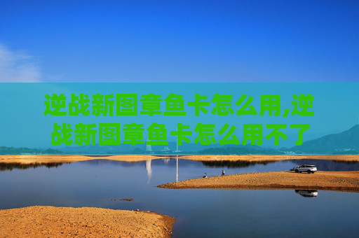 逆战新图章鱼卡怎么用,逆战新图章鱼卡怎么用不了