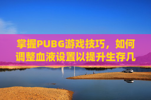 掌握PUBG游戏技巧，如何调整血液设置以提升生存几率,pubg血液颜色在哪调