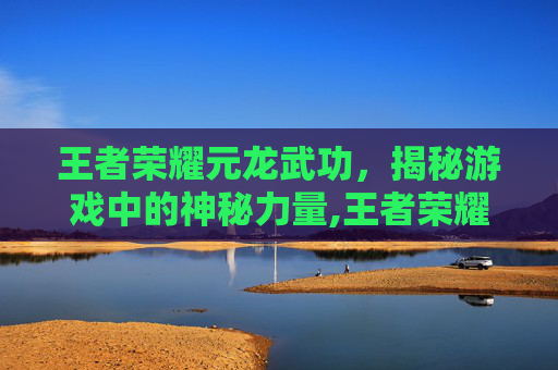 王者荣耀元龙武功，揭秘游戏中的神秘力量,王者荣耀元龙武功值得练吗