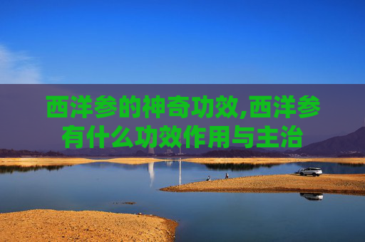 西洋参的神奇功效,西洋参有什么功效作用与主治