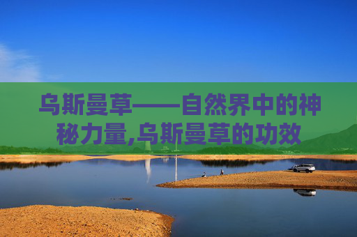 乌斯曼草——自然界中的神秘力量,乌斯曼草的功效
