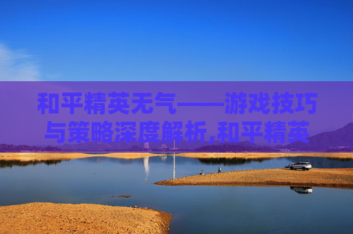 和平精英无气——游戏技巧与策略深度解析,和平精英无争
