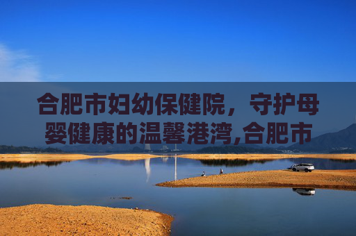 合肥市妇幼保健院，守护母婴健康的温馨港湾,合肥市妇幼保健院地址在哪里