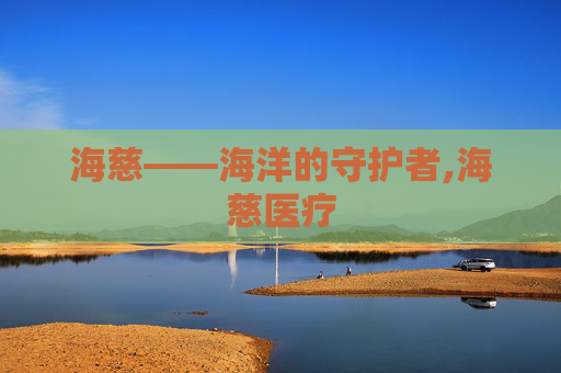 海慈——海洋的守护者,海慈医疗