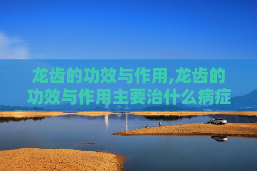 龙齿的功效与作用,龙齿的功效与作用主要治什么病症