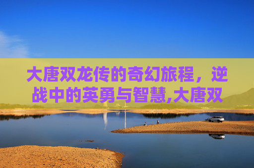 大唐双龙传的奇幻旅程，逆战中的英勇与智慧,大唐双龙传单机游戏作战