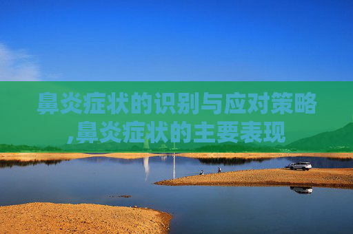 鼻炎症状的识别与应对策略,鼻炎症状的主要表现