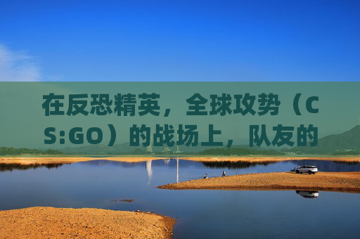 在反恐精英，全球攻势（CS:GO）的战场上，队友的脚步是胜利的关键,csgo队友和敌人的脚步声区别