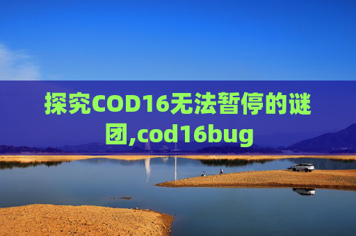 探究COD16无法暂停的谜团,cod16bug