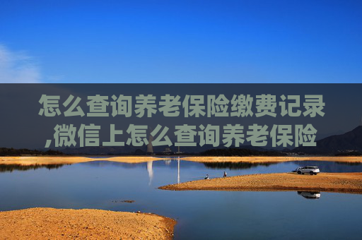 怎么查询养老保险缴费记录,微信上怎么查询养老保险缴费记录