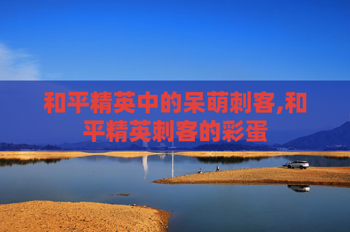 和平精英中的呆萌刺客,和平精英刺客的彩蛋