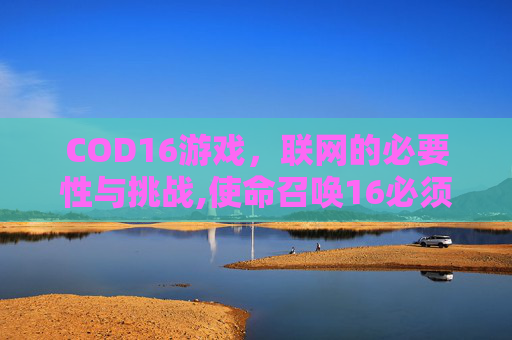 COD16游戏，联网的必要性与挑战,使命召唤16必须要战网吗