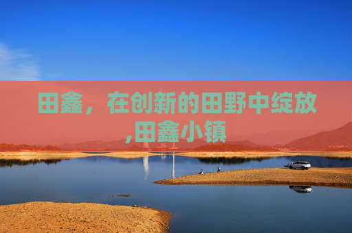 田鑫，在创新的田野中绽放,田鑫小镇