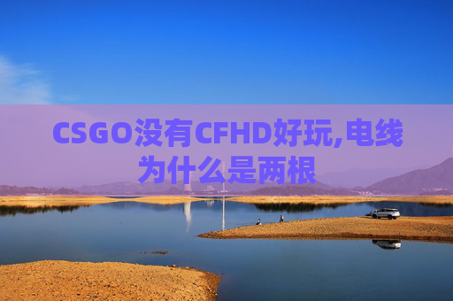 CSGO没有CFHD好玩,电线为什么是两根