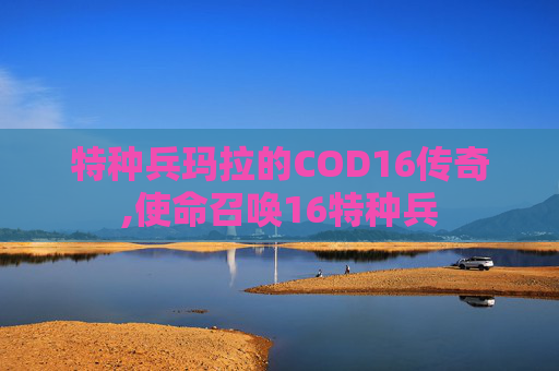 特种兵玛拉的COD16传奇,使命召唤16特种兵