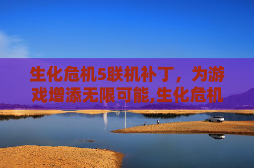生化危机5联机补丁，为游戏增添无限可能,生化危机5联机补丁怎么安装