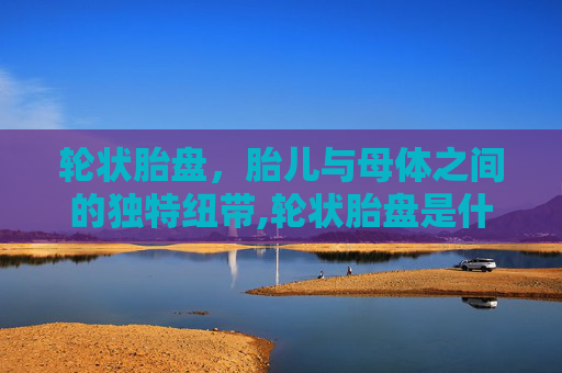 轮状胎盘，胎儿与母体之间的独特纽带,轮状胎盘是什么意思?