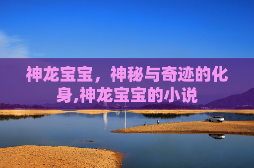 神龙宝宝，神秘与奇迹的化身,神龙宝宝的小说