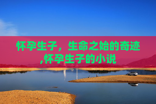 怀孕生子，生命之始的奇迹,怀孕生子的小说